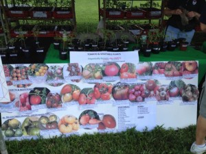 Sign showing the unusual number and variety of tomato types available. 