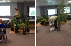 On Sept. 17 2014, Paul Morrow from HH Bamboo gave an interesting talk on the different types and uses of bamboo.