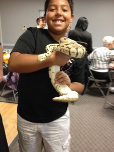 Young visitor enjoys holding a snake